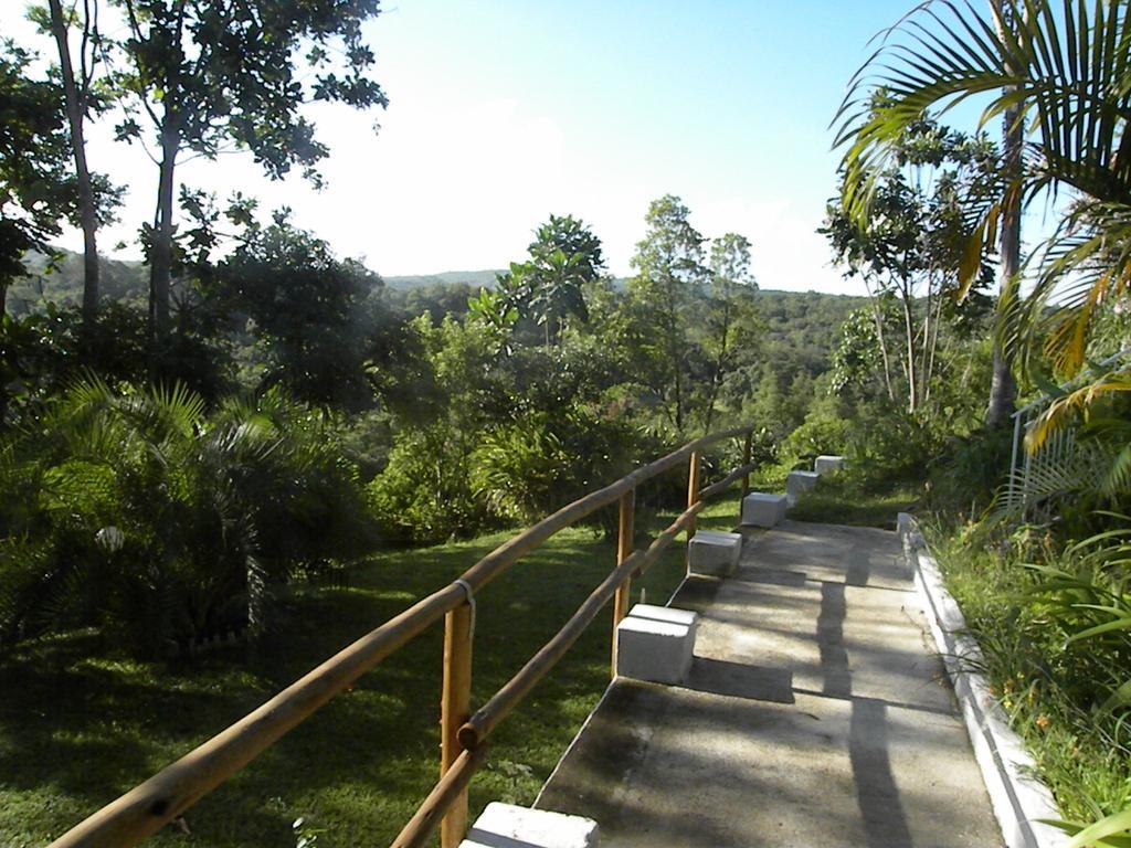Villa Bush Baby Glen à Hazyview Extérieur photo